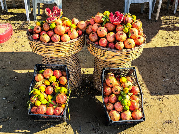 гранаты доступны для употребления и покупки на пляже - plum fruit basket wicker стоковые фото и изображения