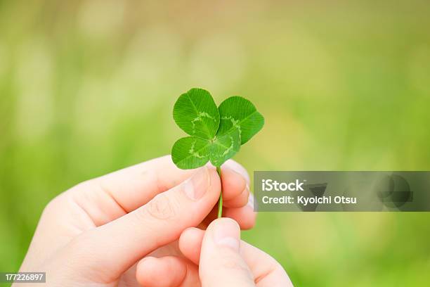 Photo Of Two Hands Holding Up A Green Four Leaf Clover Stock Photo - Download Image Now