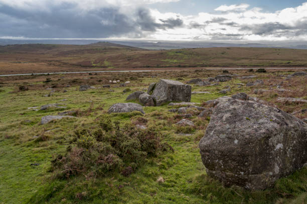 istock Rugged desolate Dartmoor with single road in background 1772269354