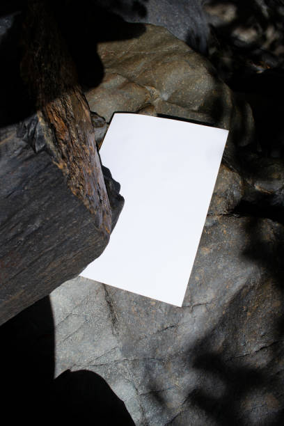 istock Mockup of a sheet with shadows from tree branches on rocks 1772272174