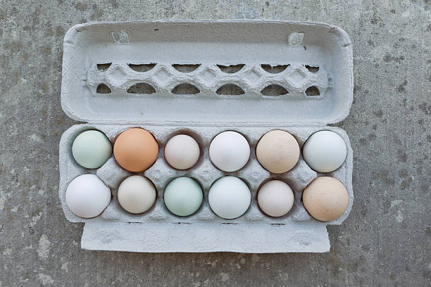 istock Dozens of Eggs 177227481