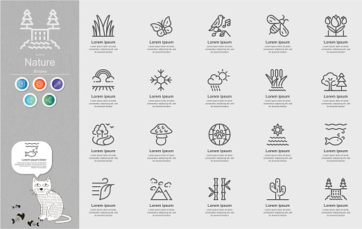 Nature Line Icons Content Infographic