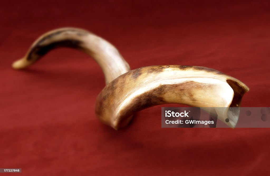 Shofar close up of shofar against red background Shofar Stock Photo