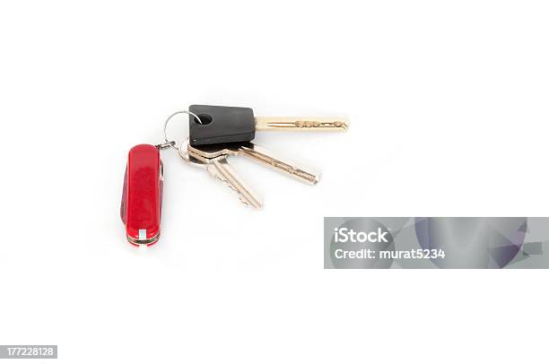 키를 다용도칼 열쇠고리에 대한 스톡 사진 및 기타 이미지 - 열쇠고리, 0명, 가까운