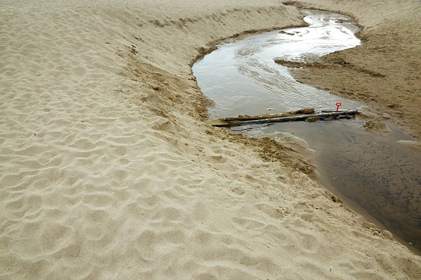 istock Estuary of beach 177228250