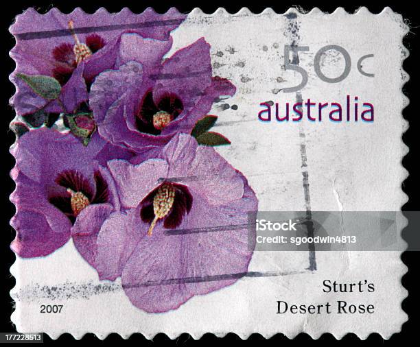 50센트 스템프 Printed In Australia 0명에 대한 스톡 사진 및 기타 이미지 - 0명, 2007년, 50