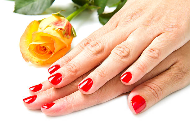 istock Woman hands with red manicure and rose 177228633