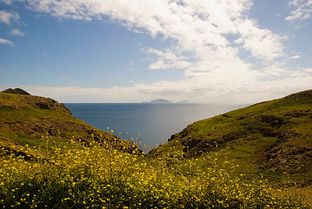 istock View to Desert Islands, Madeira 177228660