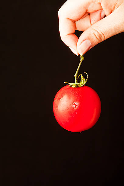 istock Female hand holding a tomato 177228834