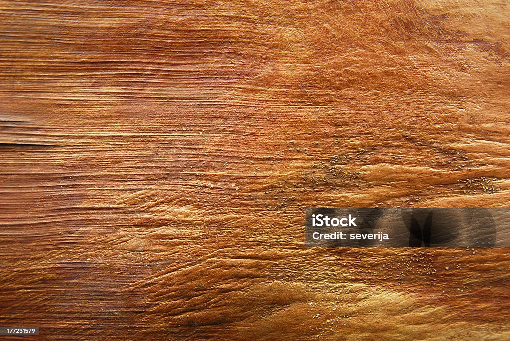 Baumrinde Textur von palm tree - Lizenzfrei Abstrakt Stock-Foto