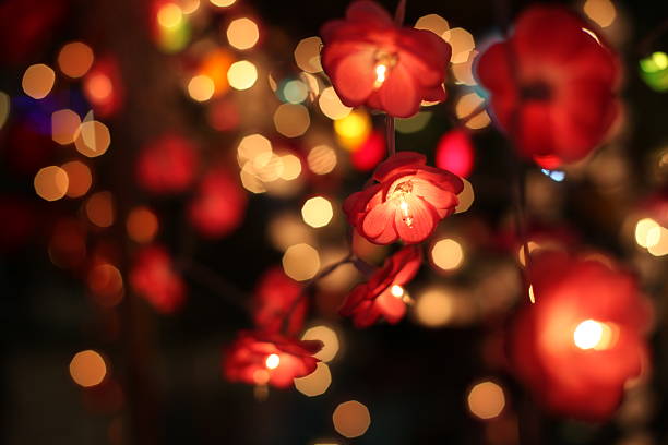 flower shape fairy lights