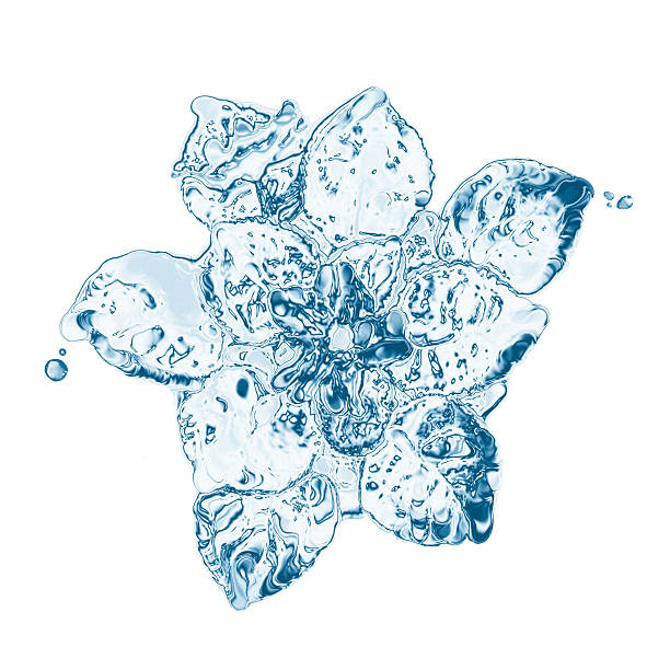 istock water flower splashes isolated on white 177231952