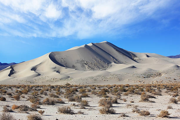 istock Early morning in the desert 177231985