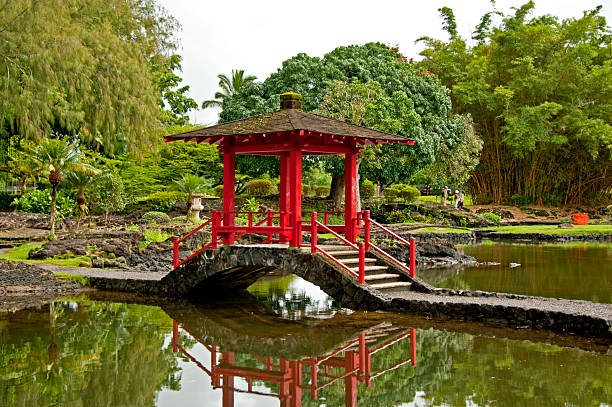jardín japonés - hilo isla grande de hawái fotografías e imágenes de stock