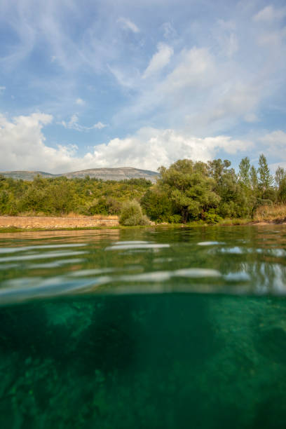 istock Diving in the source of the Cetina River 1772339780