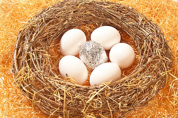 One silver foil egg with five white eggs stock photo