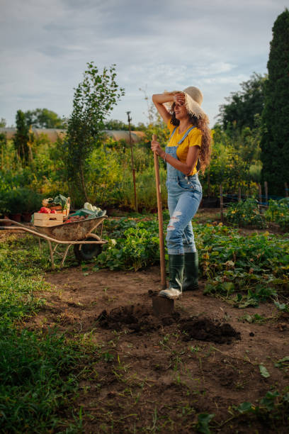 istock Woman digging a hole in the garden 1772347298