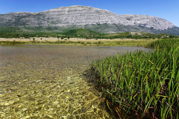 The Cetina River in upper course with the Dinara mountain in the background