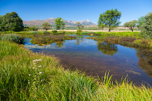 The Cetina River in the karst plain with grasslands and trees with the mountain in background, Croatia