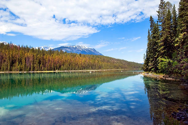 istock reflection of the nature 177235223