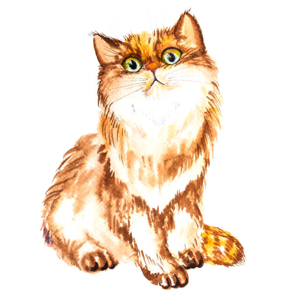 istock Watercolor illustration of a red fluffy crazy cat, hand drawn cat 1772353475