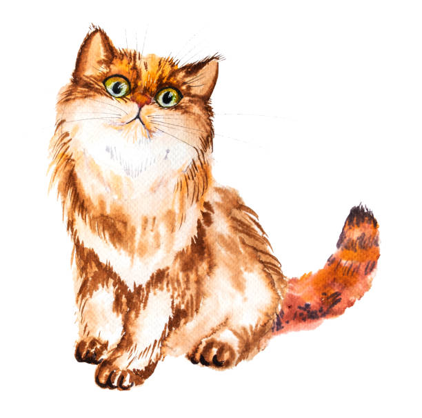 istock Watercolor illustration of a red fluffy crazy cat, hand drawn cat 1772353489