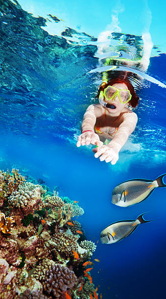 istock swimming with the fishes 177236015