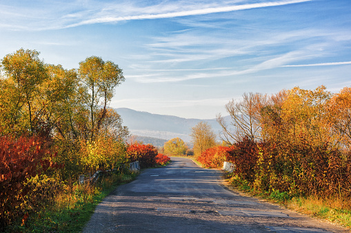old cracked country road through rural valley in morning light. autumnal scenery with trees in fall colors on the roadside. mountains in the hazy distance