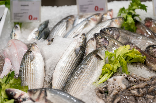 background of seafood in the store