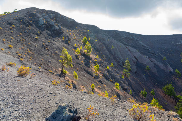 istock San Antonio Volcano - La Palma 1772365286