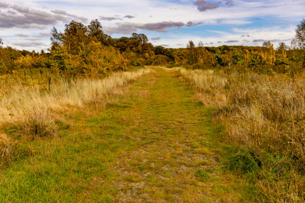 istock walking footpath autumn fall nature outdoors landscape environment beautiful 1772366429