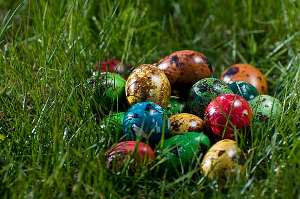 Colorful Easter Eggs stock photo