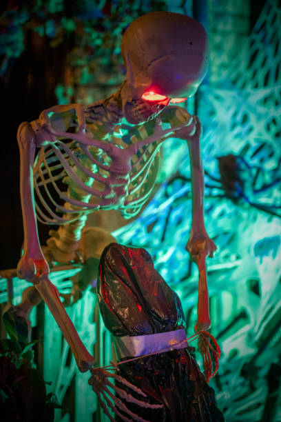 istock Residential Halloween Decorations 1772373499