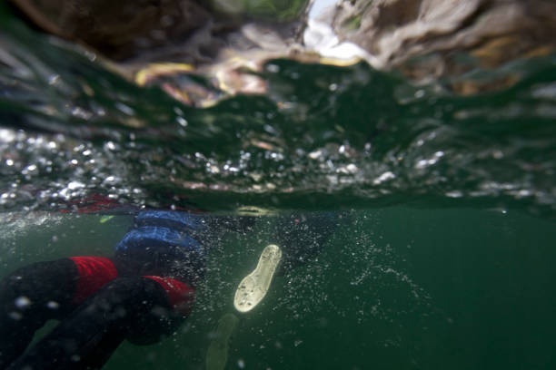 istock Canyoning in Cetina River, Croatia 1772374555