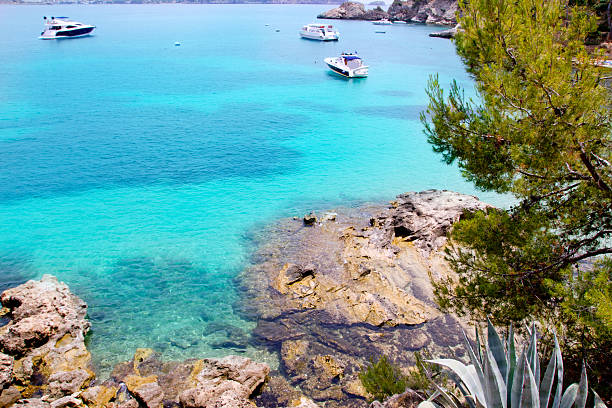 Calvia Cala Fornells turquoise mediterranean in Majorca Calvia Cala Fornells turquoise mediterranean in Majorca at balearic islands of Spain seaside views of cala fornells mallorca stock pictures, royalty-free photos & images