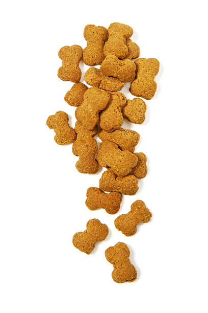 istock Dry Pet Food 177237767