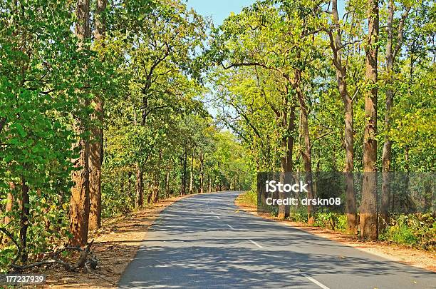 Highway Im Wald Stockfoto und mehr Bilder von Asphalt - Asphalt, Baum, Biegung
