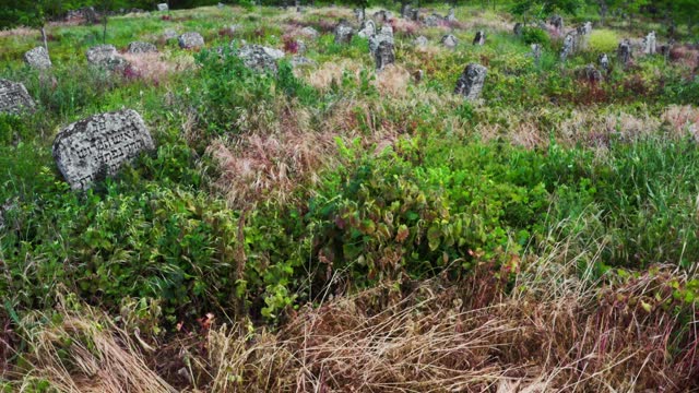 Abandoned old Jewish cemetery in the overgrown grass