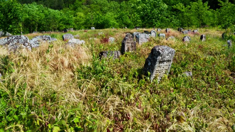 Abandoned old Jewish cemetery in the overgrown grass