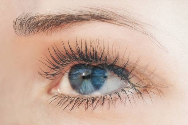 Diplopia concept - double  vision. Diagnosis in Opthalmology.