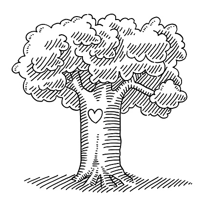 Hand-drawn vector drawing of a Heart Sign On Tree. Black-and-White sketch on a transparent background (.eps-file). Included files are EPS (v10) and Hi-Res JPG.