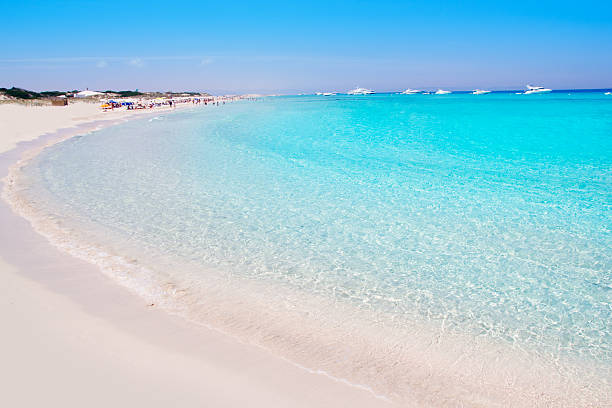 illetes formentera east beach tropicais azuis-turquesa - illetes - fotografias e filmes do acervo