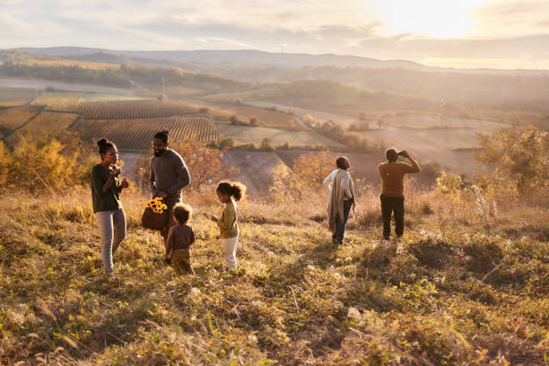 istock Carefree black multi-generation family having fun on a hill at sunset. 1772393818