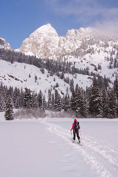 istock Backcountry Skiing in Wyoming 177239839