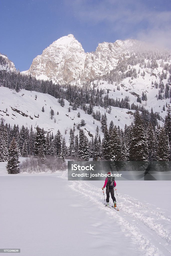 Narciarstwo pozatrasowe w Wyoming - Zbiór zdjęć royalty-free (Jackson Hole)