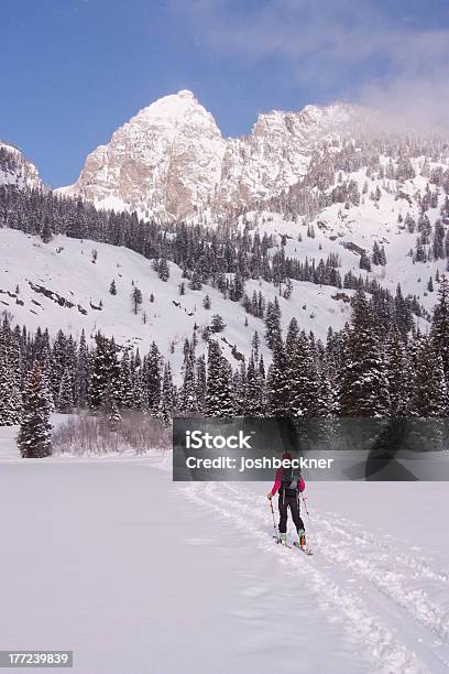 Narciarstwo Pozatrasowe W Wyoming - zdjęcia stockowe i więcej obrazów Jackson Hole - Jackson Hole, Zima, Narciarstwo