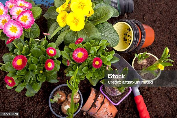 Jardinagem - Fotografias de stock e mais imagens de Adubo - Fenómeno Natural - Adubo - Fenómeno Natural, Bulbo de flor, Flor