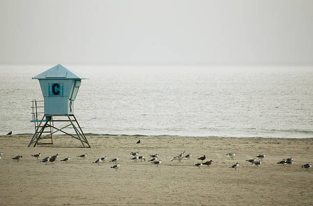 lifeguard stock photo