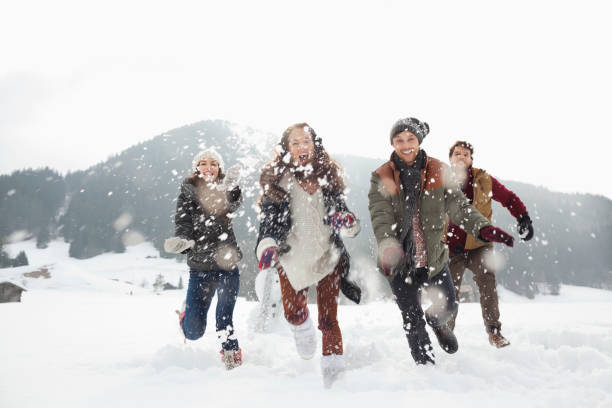 Happy friends playing in snowy field  snowball stock pictures, royalty-free photos & images