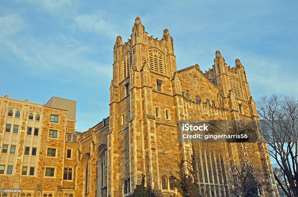 The Library One of the libraries at U of M. University of Michigan Stock Photo